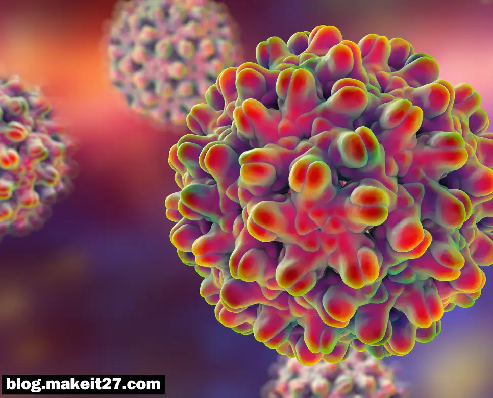 HBV