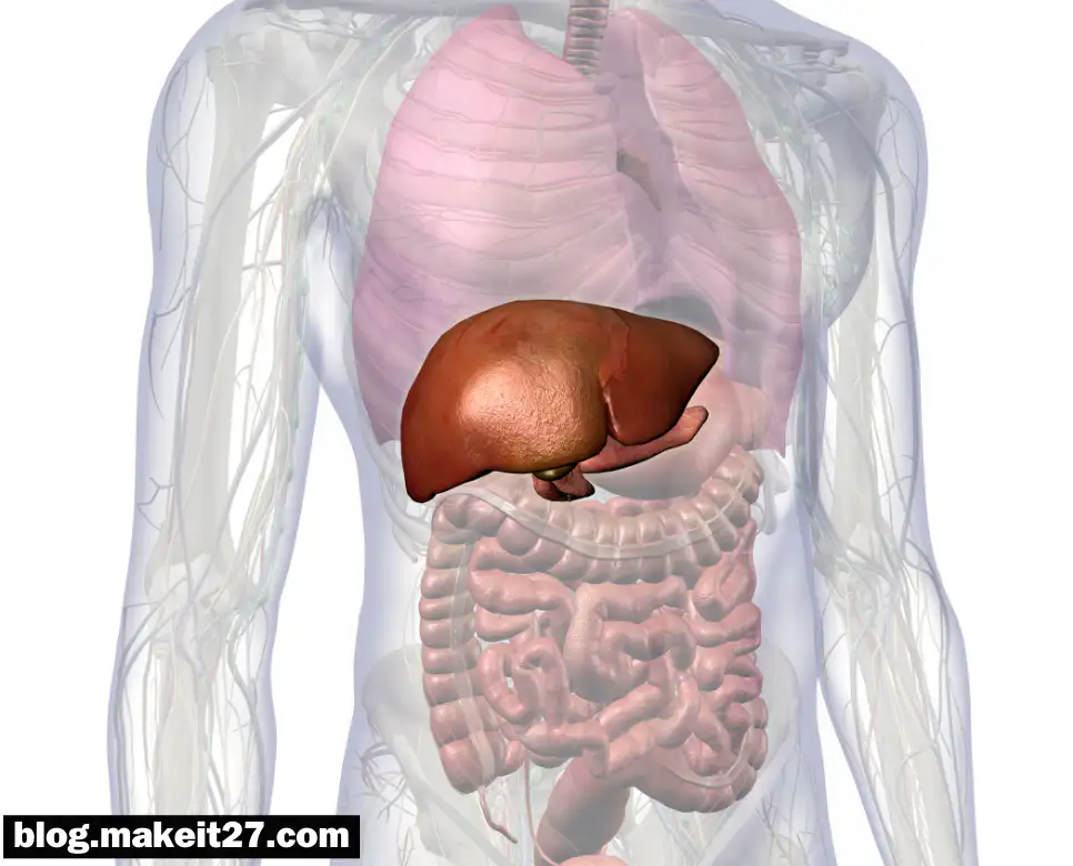 의학용어 PTGBD, CRE, DT