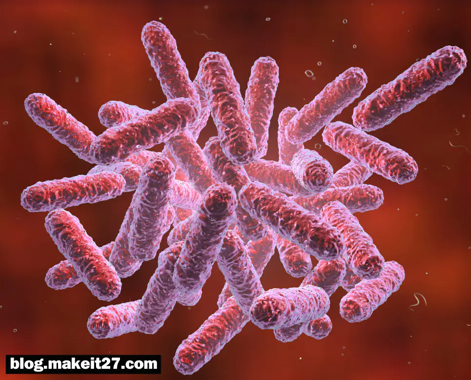 의학용어 CPE, CTA, CVP