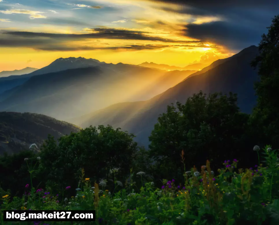 인생무상(人生無常)