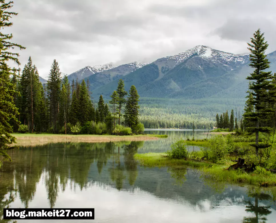 사필귀정 뜻, 부화뇌동 뜻, 역지사지 뜻, 연목구어 뜻, 반신반의 뜻: 완벽 정리!