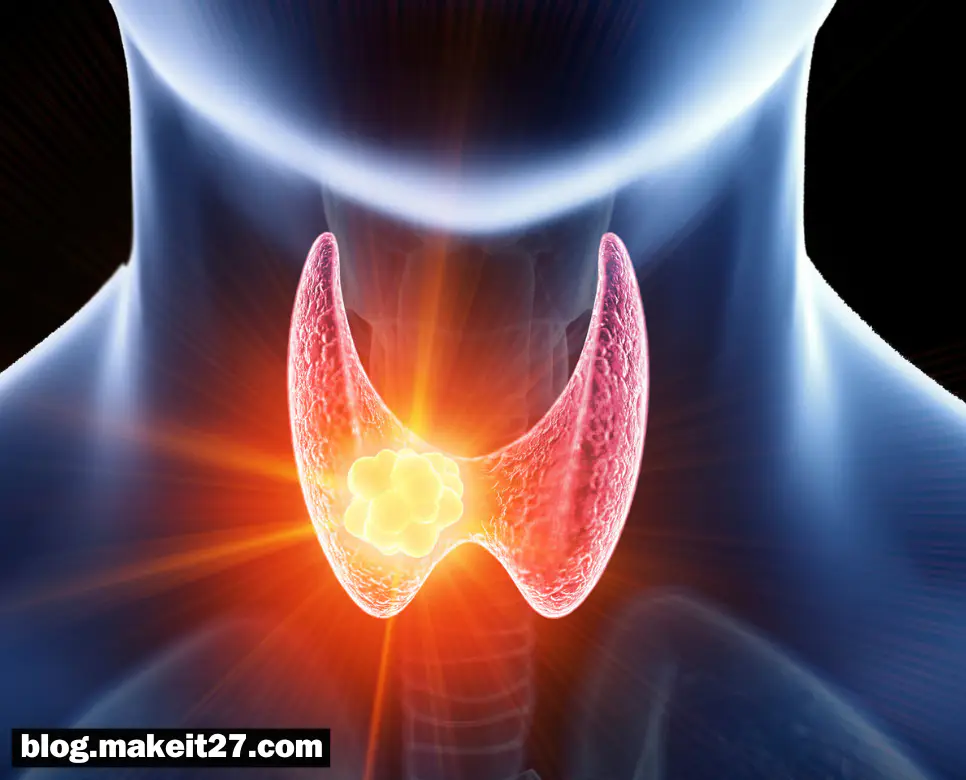 의학용어 TSH, UA, WBC