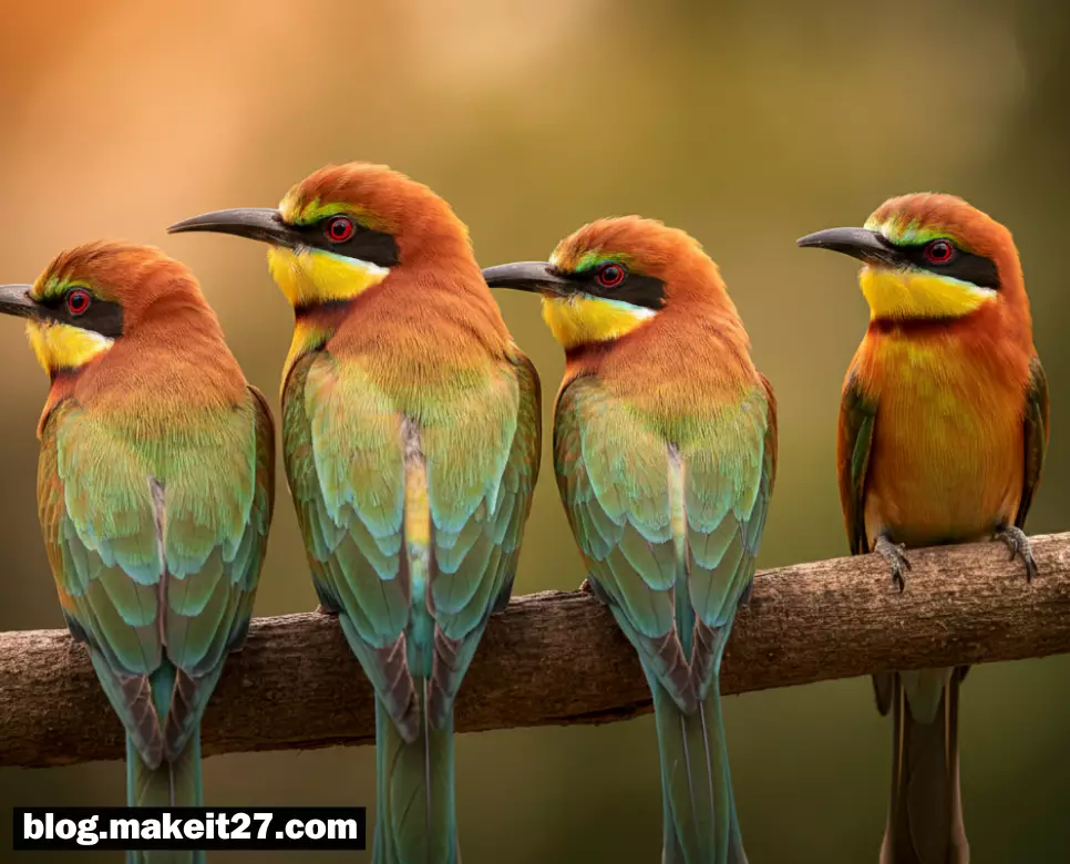 유유상종 뜻, 유구무언 뜻, 자업자득 뜻: 여기서 다 알아보세요!