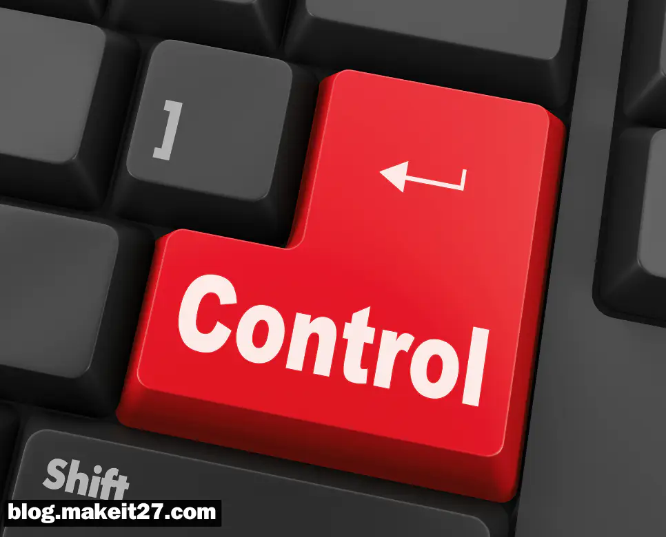 컨트롤(Control)